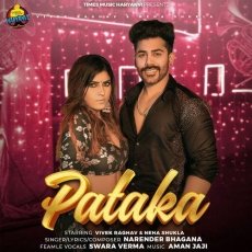 Pataka Pataka