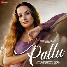 Pallu Pallu